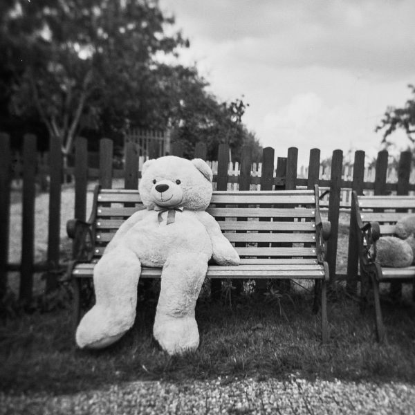 A large white teddy bears the size of a person, sitting on a bench outside