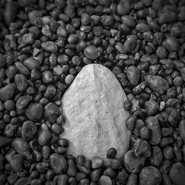 Black and white photo of a large chalk rock half immersed in many, darker, smaller stones